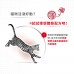 皇家 - FHN 成貓 全效健康營養配方 (4kg) 貓糧 FIT32 ROYAL CA