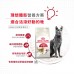 皇家 - FHN 成貓 全效健康營養配方 (4kg) 貓糧 FIT32 ROYAL CA